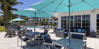 Bermuda Cay Gallery 20