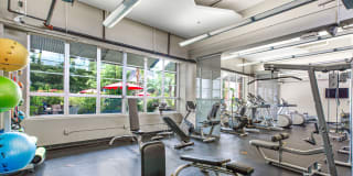 American Can Apartments Gallery 16