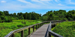 Preserve at Port Royal Gallery 41