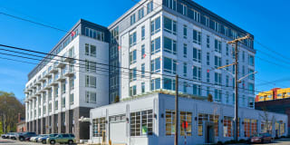 Mark on 8th Gallery 2