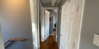 Inman Sq Somerville 2bed / 1bath with laundry in unit - no broker fee - Sept 2026 move in Gallery 7
