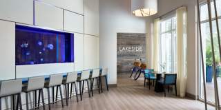 Lakeside Apartments Gallery 59