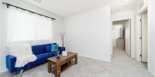 2849 Desert Mosaic Lane Gallery 10