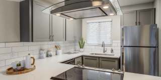 Milo at Mountain Park Gallery 1