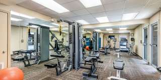Lake Towers Apartments Gallery 18