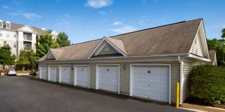 Alvista Bowie Gallery 39