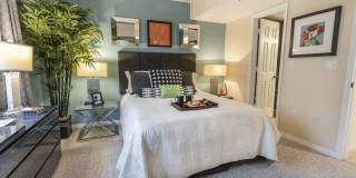 The Palms of Doral Gallery 34