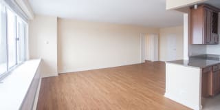 Dorchester Gallery 26