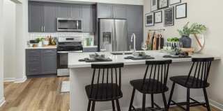 Aviara at Mountain House Gallery 1