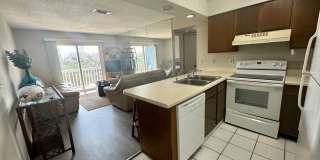 1B/1B  Furnished Condo Across the Street from the Gulf of America! Gallery 1