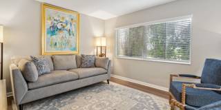 Buena Vista Gallery 3