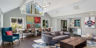 Canopy Glen Gallery 12