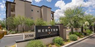Meritum Sonoran Desert Gallery 25