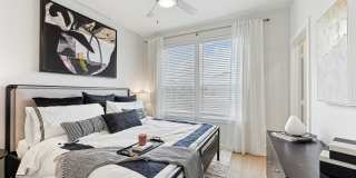 Alaro Gallery 14