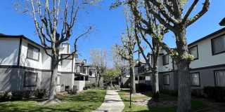 Gladstone Ridge Gallery 16