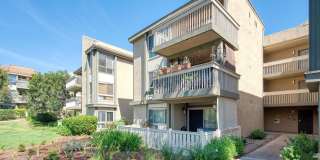 254 Sequoia Court Gallery 57