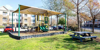 Park Lakes Gallery 53