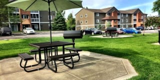 Prairie Tree Gallery 11