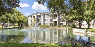 The Beverly at Shadow Lake Gallery 13