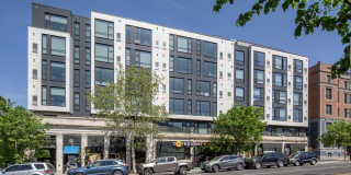 AdMo Heights Gallery 1