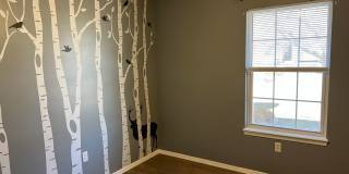 Now Available! Gorgeous Walkout Basement Home with a Pool, Ozark Gallery 15