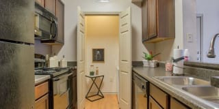 Oak Hollow Gallery 2