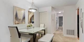 Lerner Excelsior Tower Gallery 19