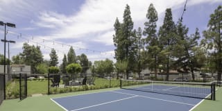 Breve Park Gallery 25