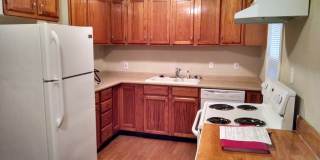 Cosy 3 bedroom 1 bathroom house for rent Gallery 3