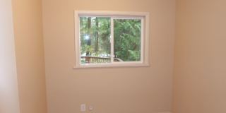 Beautiful 3 Bed 1 Bath Single Family House - Bellevue Gallery 21