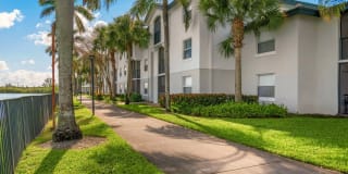Palm Trace Landings Gallery 27