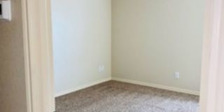 5905 Cactus Flower Lane Gallery 8