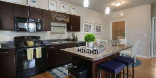 Waterline Estero Gallery 25