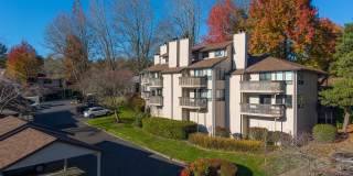 Parkridge Parkridge Gallery 27