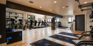 Markana Uptown Gallery 55