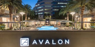 Avalon Towers on the Peninsula Gallery 38