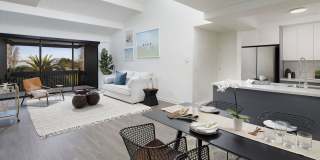 South Shore Gallery 4