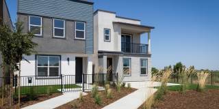 Cyrene at Meadowlands Gallery 7