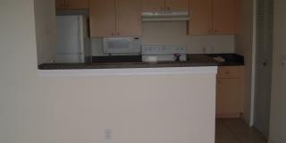 EMERALD ISLE AT LAGUNA LAKES CONDO Gallery 10