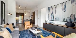 Cortland M-Line Gallery 6