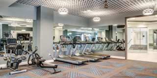 Allure Apollo Gallery 20