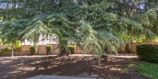 3803 Yellowstone Court Gallery 35