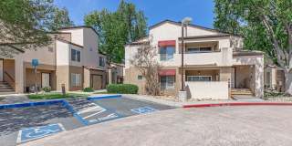 Avery at TownCentre Gallery 18