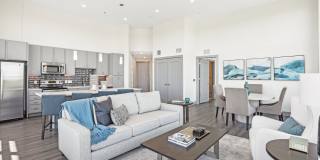 The Anderson Gallery 30