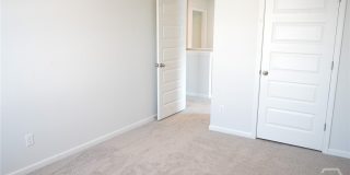 391 Coconut Drive Gallery 28