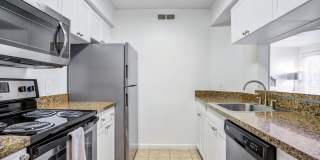 Shoal Creek Gallery 4