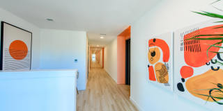Rising Sun Gallery 16
