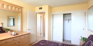 Belcrest Plaza Gallery 3