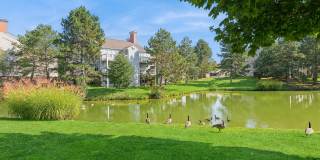 ReNew Woodland North and South Gallery 59