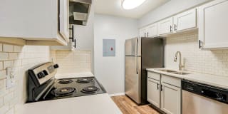 Timber Hollow Gallery 5